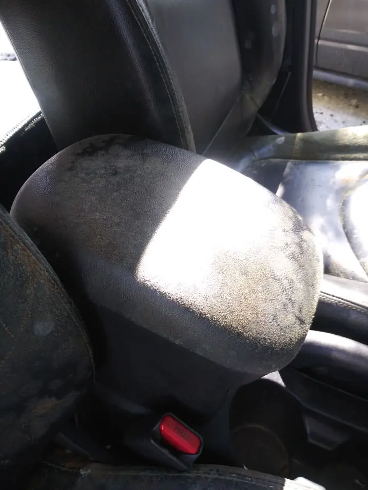car mold removal orlando