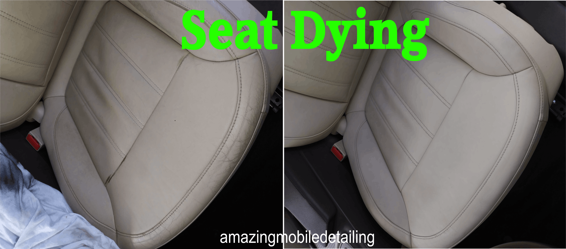 Seat Dying ORLANDO